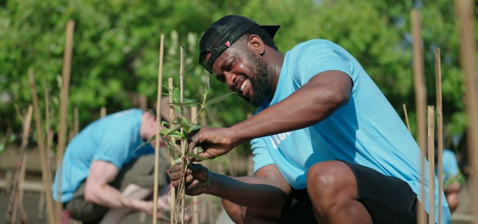 African American men volunteer helpers planting trees in mangrov