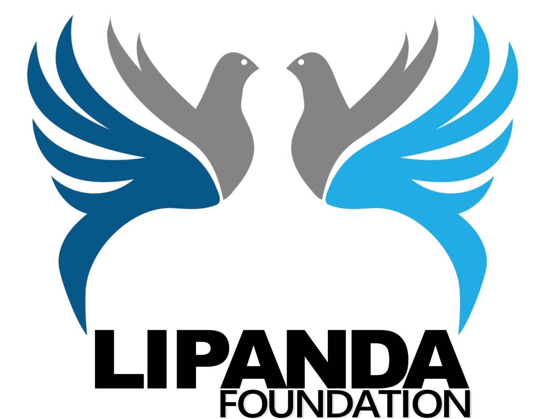 Lipanda foundation 